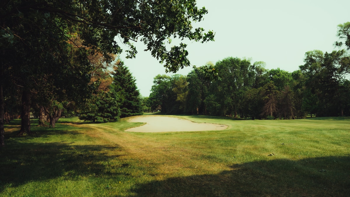 Tree-lined golf green guarded by a bunker on a shaded fairway