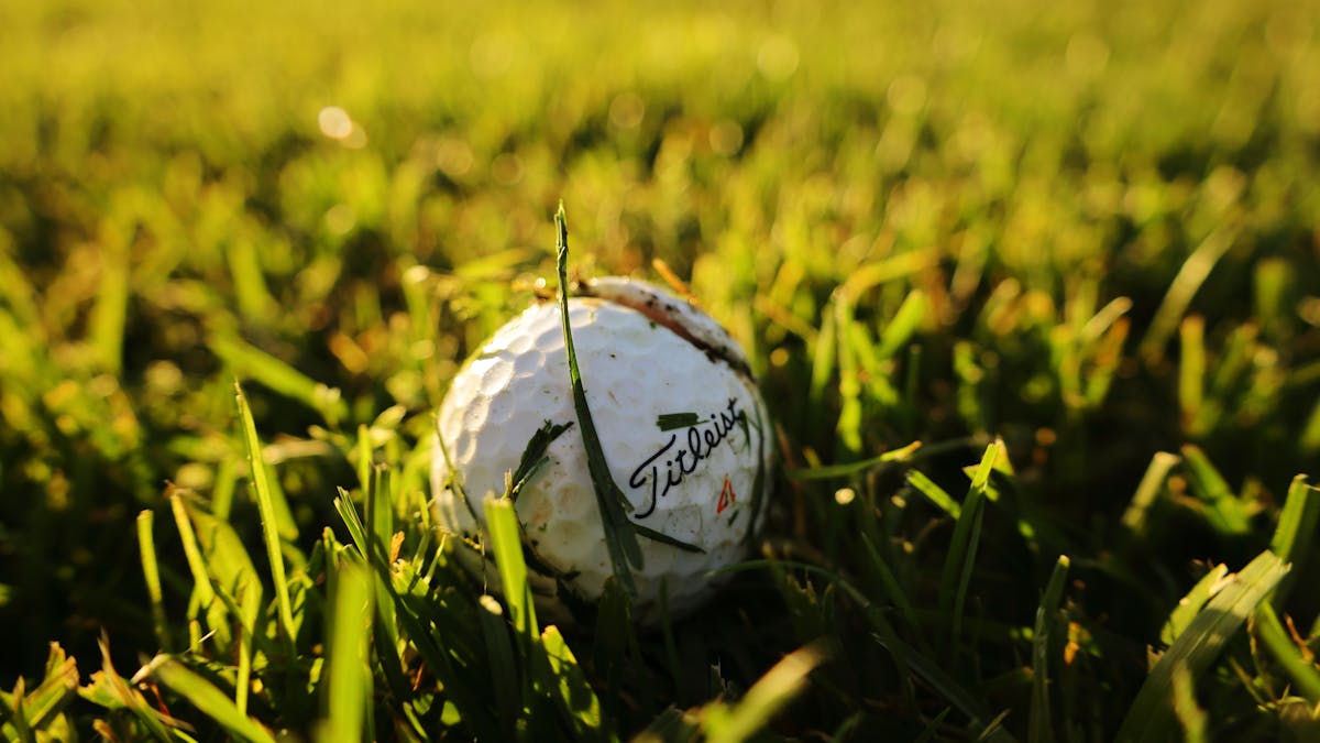 Close-up of a white golf ball sitting on lush green fairway grass